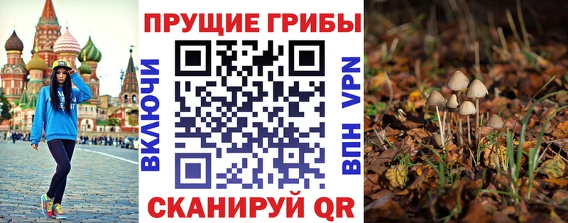 продажа наркотиков  Нижний Новгород  Галлюциногенные грибы Psilocybine cubensis 